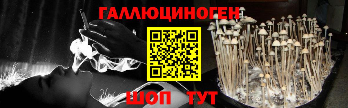 Псилоцибиновые грибы прущие грибы  Галлюциногенные грибы мухоморы  Вход с VPN  купить наркоту  Ангарск 